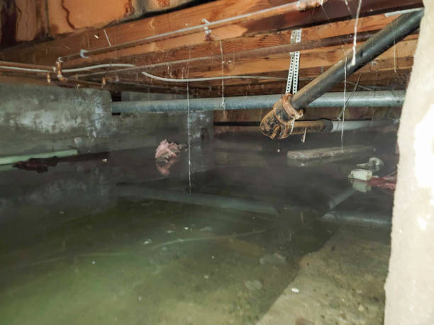 Best Residential water damage restoration  in New Knoxville, OH