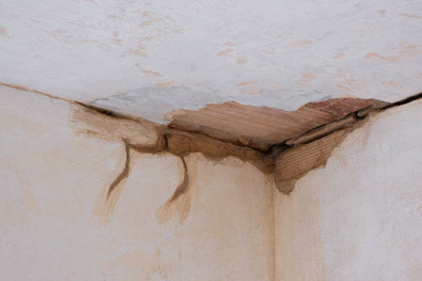 Best Flooded house restoration  in New Knoxville, OH