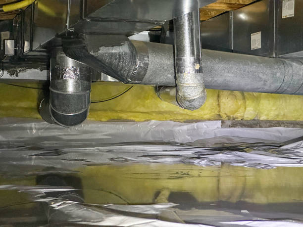 Best Flood damage cleanup  in New Knoxville, OH