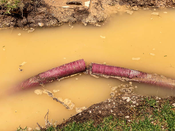 Best 24/7 water damage repair  in New Knoxville, OH