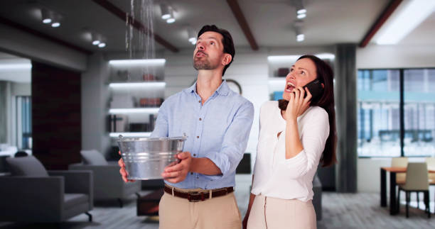 Best Water damage restoration near me  in New Knoxville, OH